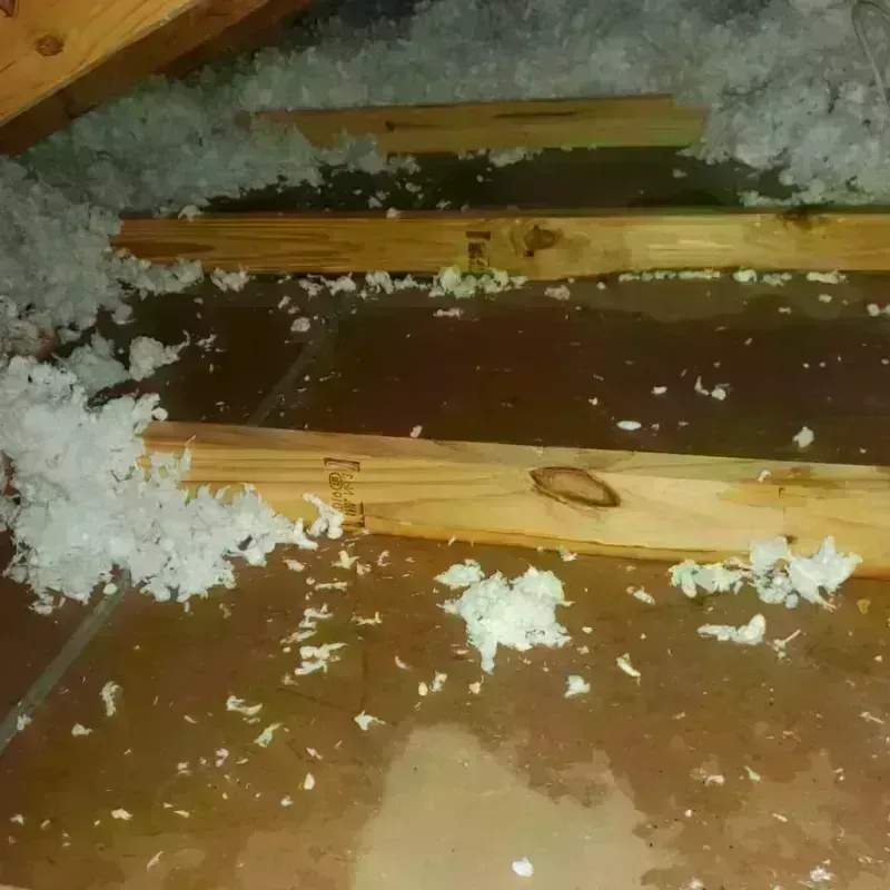 Attic Water Damage in Port Angeles East, WA